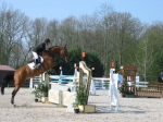 Photo 017 - concours hippique.jpg